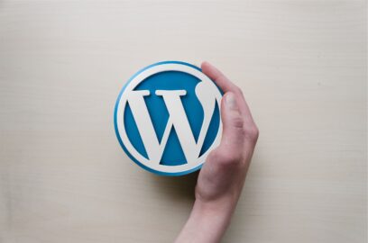 50+ Términos de WordPress que debes conocer, definidos