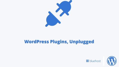 Plugins de WordPress, Unplugged: Preguntas y respuestas del seminario web