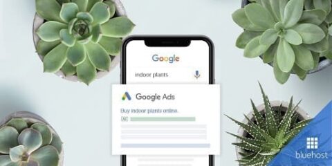 Presentación de Google Ads automatizados de Bluehost