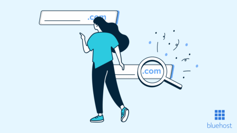 Cómo transferir un dominio de Google Domains a Bluehost