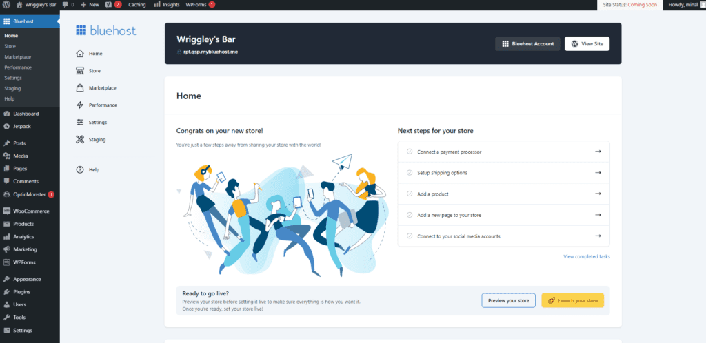 Complemento Bluehost en WP