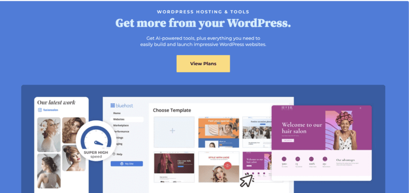 bluehost-hosting