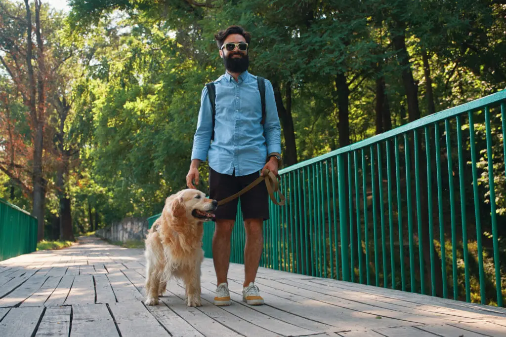 Paseos diarios con perros
