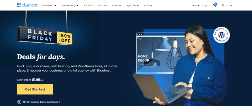 Oferta de Black Friday de Bluehost