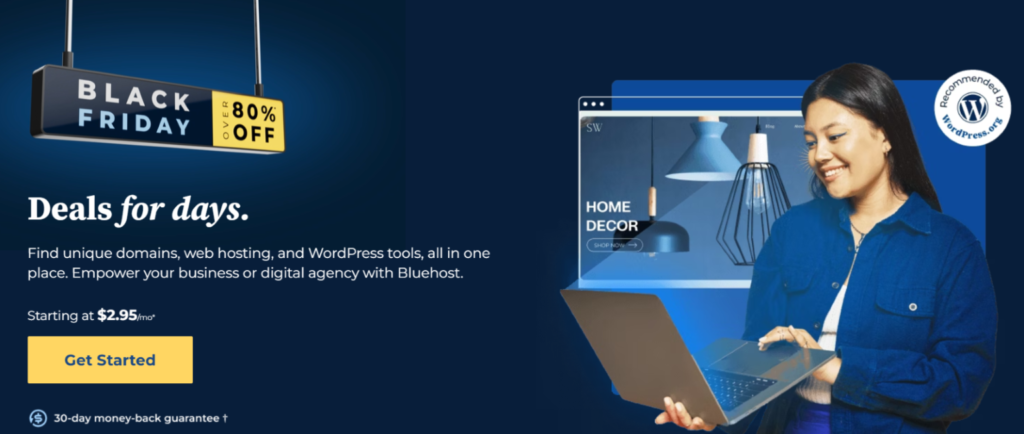 Oferta de Black Friday de Bluehost
