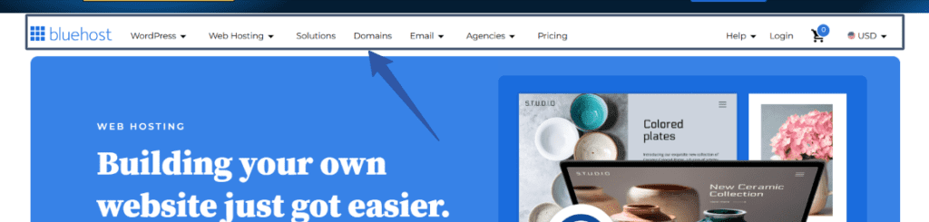 Encabezado Bluehost