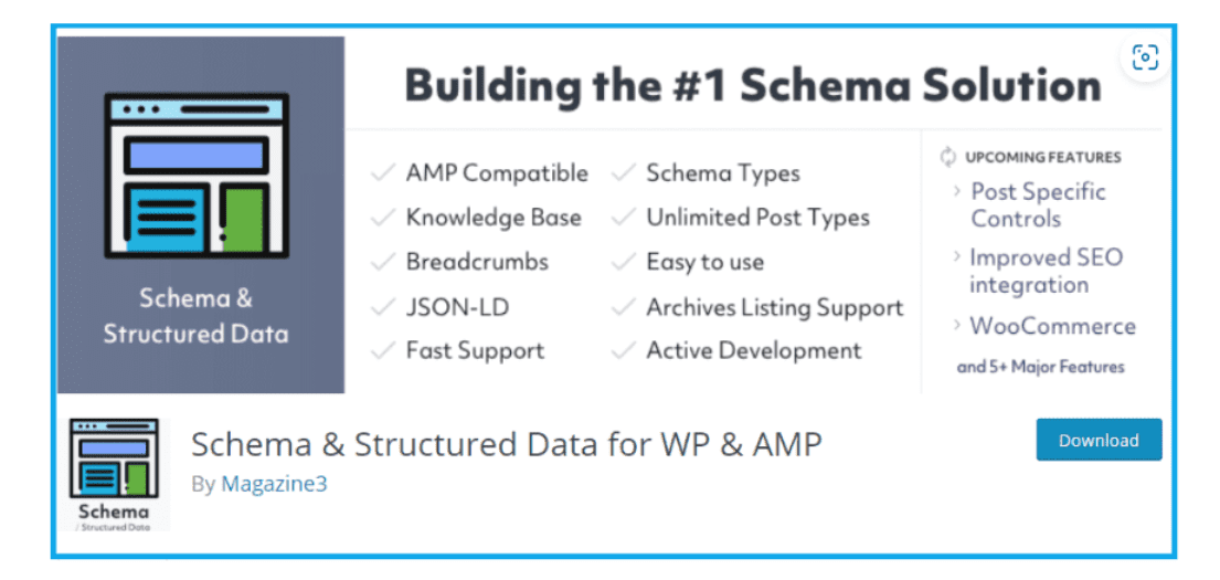 Esquema y datos estructurados para WP y AMP  