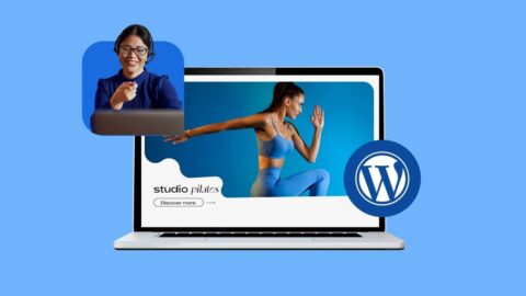Cómo obtener ayuda y soporte de WordPress