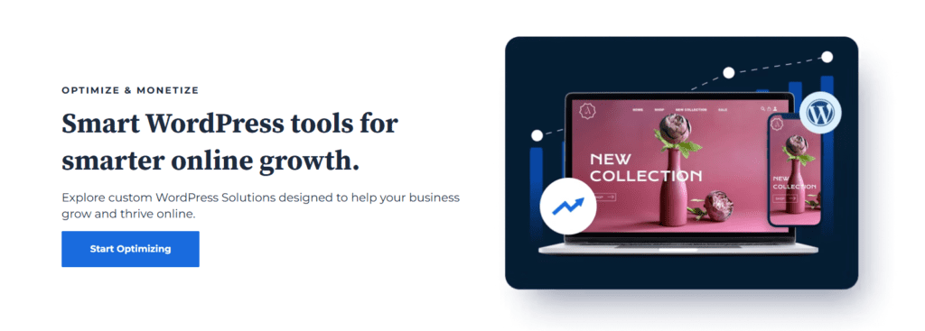 Bluehost CTA - Empieza a optimizar  