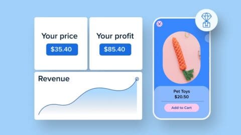 Guía para principiantes: Cómo empezar a hacer dropshipping en 2025