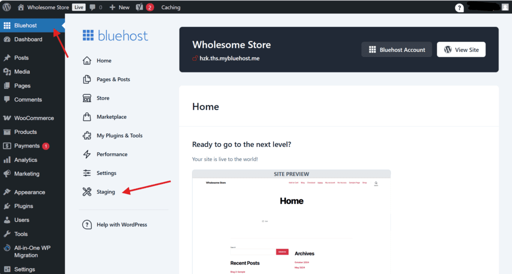 Menú Bluehost