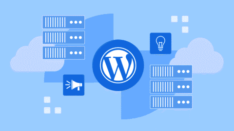 Arquitectura de WordPress – Consejos, Plugins y Mejores Prácticas